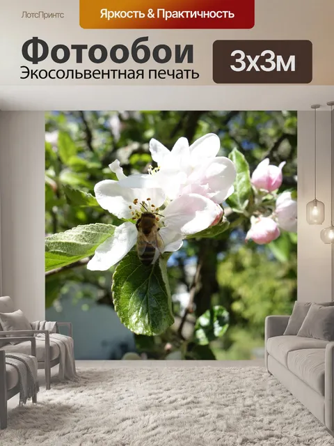 Фотообои Яблоневый цвет
