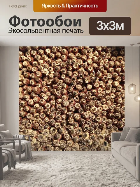 Фотообои Текстура