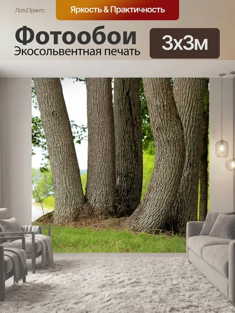 Фотообои Деревья на берегу озера