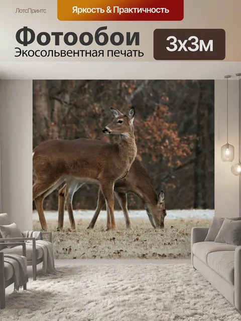 Фотообои Два белохвостых оленя зимой