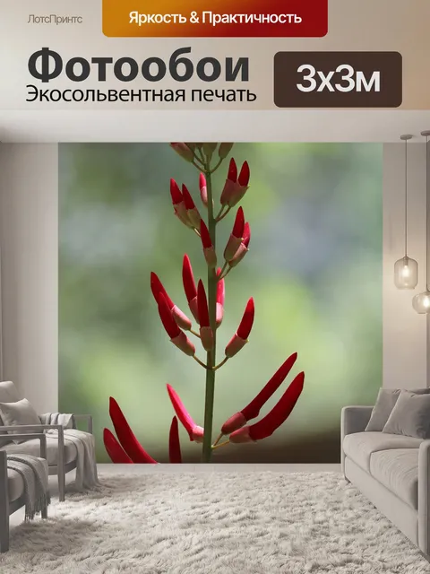 Фотообои Цветок