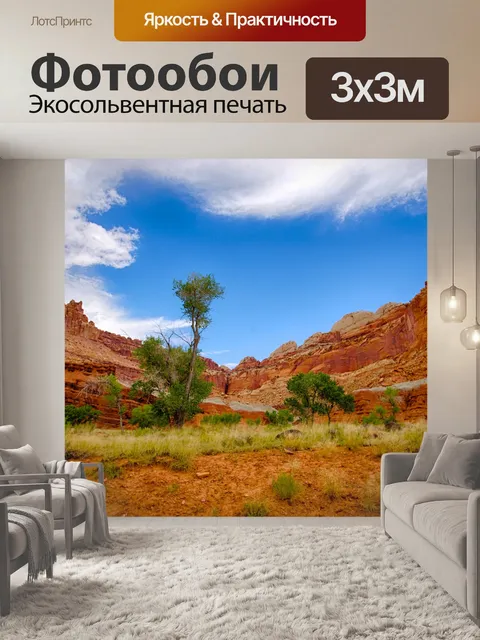 Фотообои Деревья растут в штате Юта пустыне