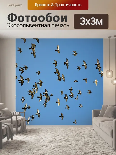 Фотообои Полет голубей