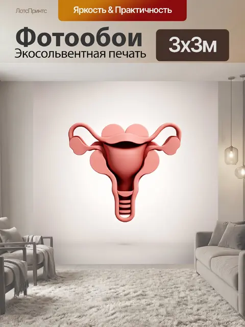 Фотообои современное 3d-изображение матки в стилистике минимализма
