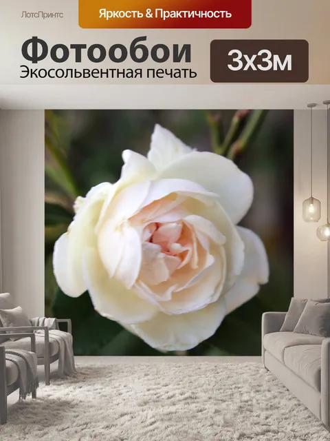 Фотообои светлый персик розы