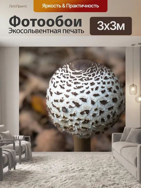 Фотообои Зонтик