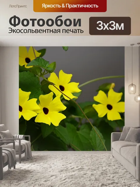 Фотообои Черноглазая Сюзанна.