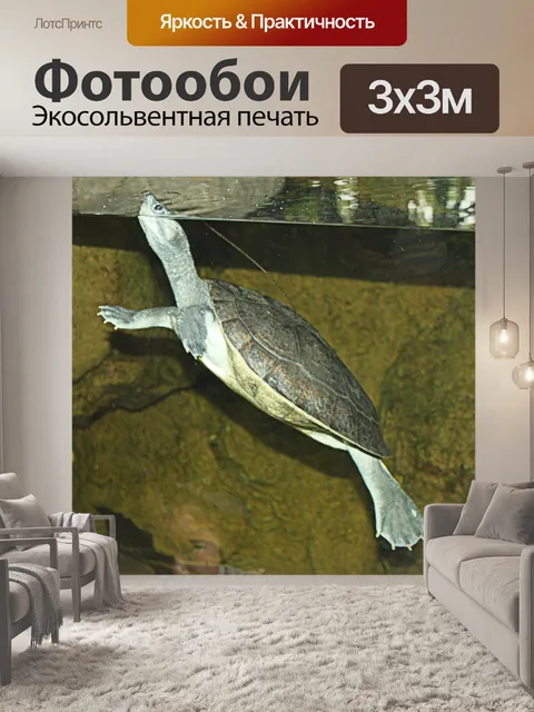 Фотообои Черепаха поплавок