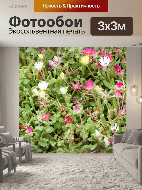 Фотообои весенний цветок фон
