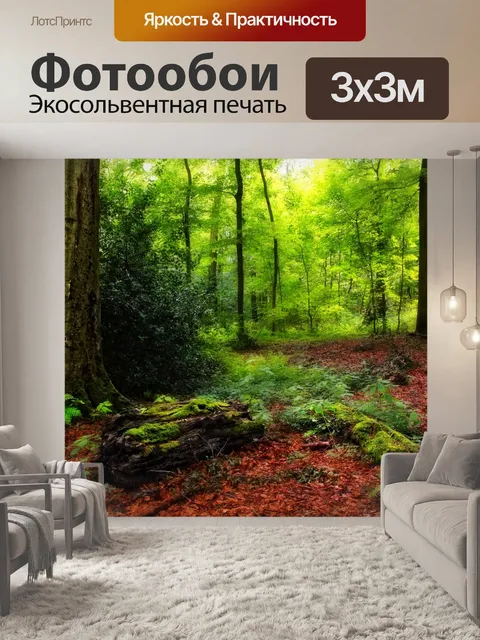 Фотообои Осенний пейзаж лесных деревьев