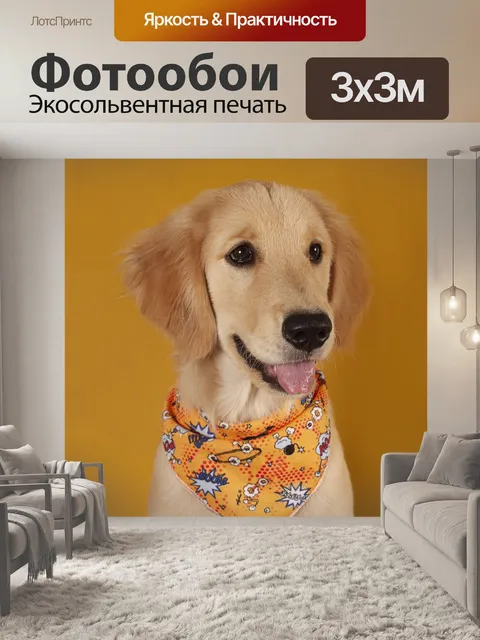 Фотообои Собака