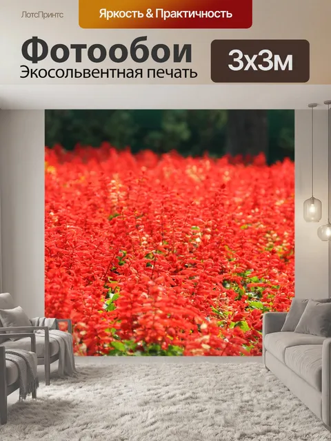 Фотообои Красный