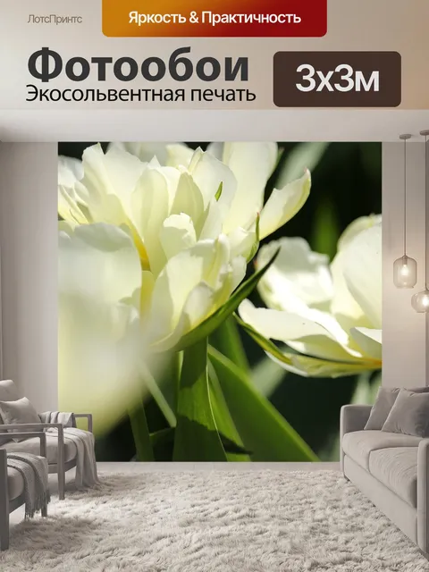 Фотообои Белые тюльпаны