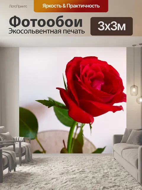 Фотообои Рядом с 10 поднялся