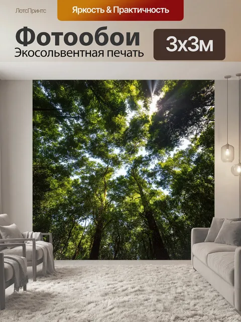 Фотообои густая зелень джунглей, где высокие деревья образуют плотный навес, сквозь который пробиваются солнечные лучи