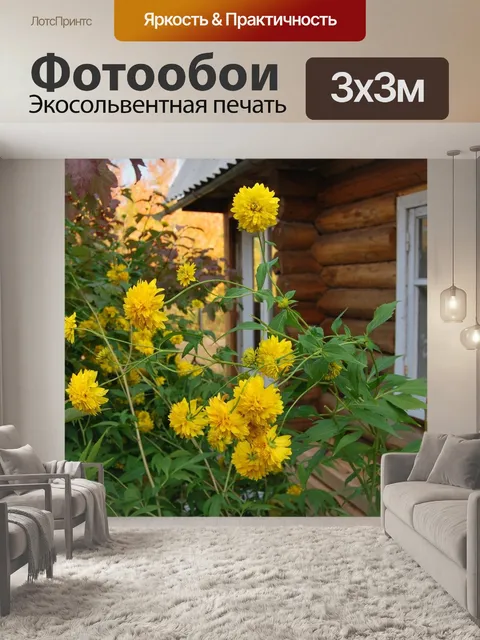 Фотообои Дача