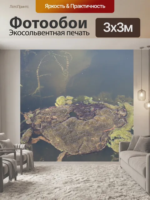 Фотообои Река