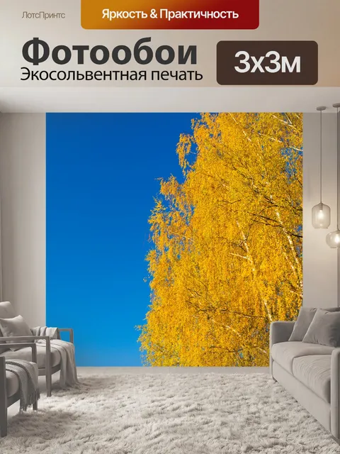 Фотообои Береза осенью