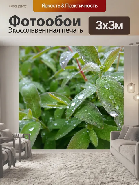 Фотообои Листья