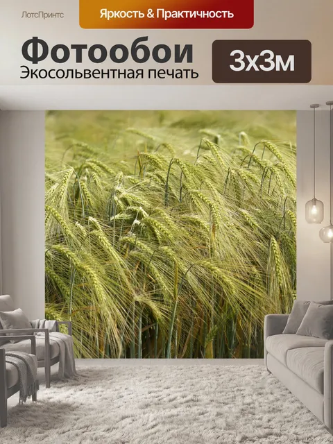 Фотообои Плоды поля ржаного ячменя