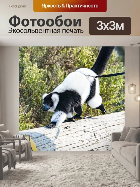 Фотообои Лемур