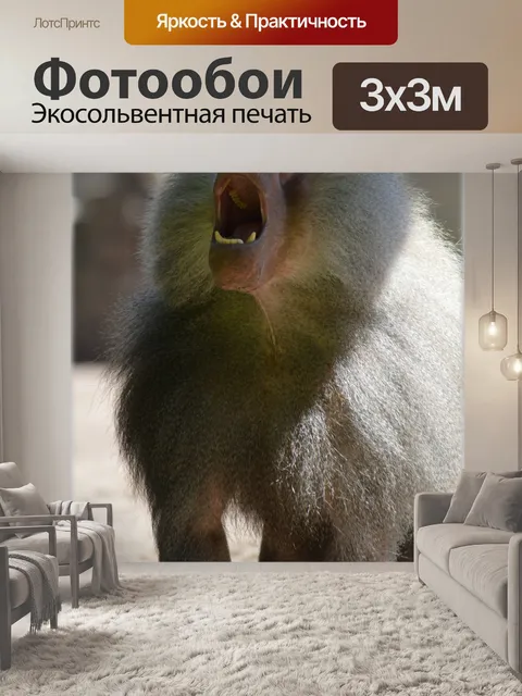 Фотообои Обезьяны, бабуины установлен 2,14