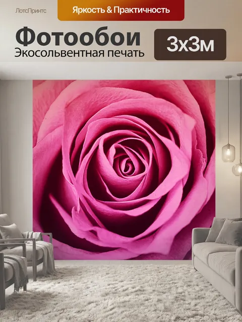 Фотообои Роза цветок цвести розовый