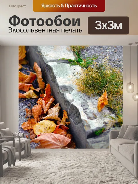 Фотообои Бордюр