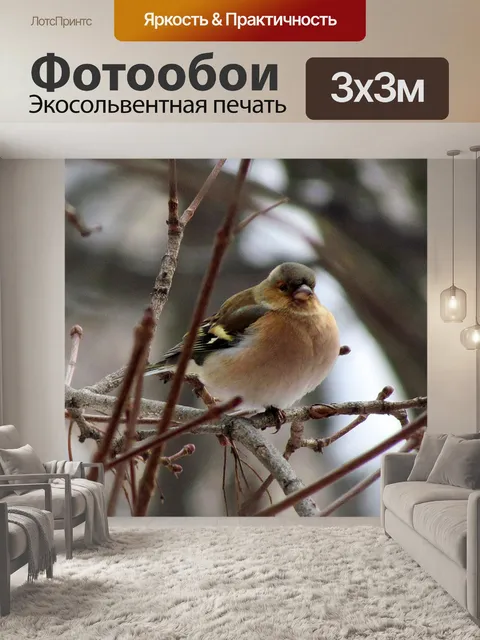 Фотообои Птичка