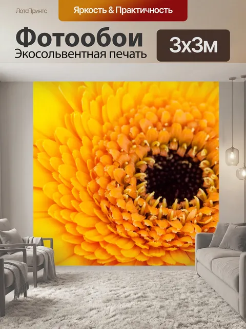 Фотообои Желтый цветок герберы