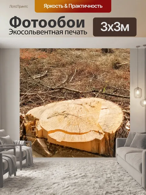 Фотообои Вырубка леса