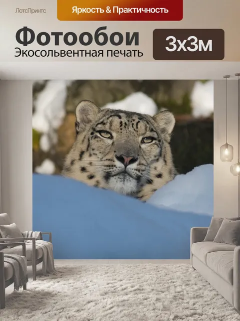 Фотообои Снежный барс