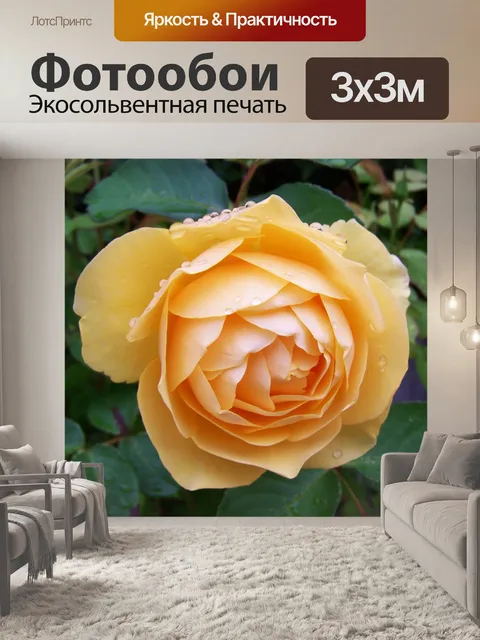 Фотообои Желтые розы