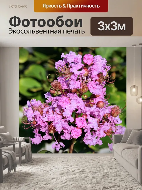 Фотообои Розовый креп Миртл крупным планом