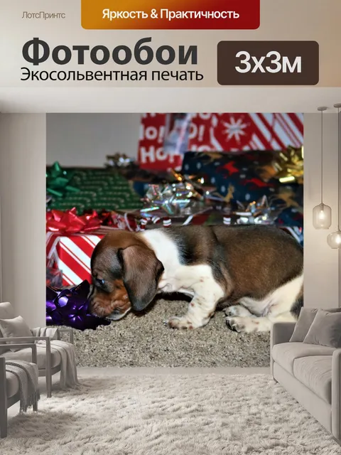 Фотообои Щенок таксы с луком