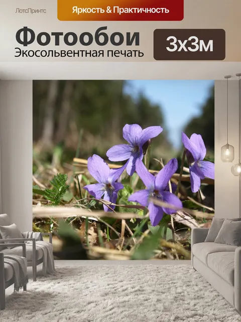 Фотообои Фиолетовый
