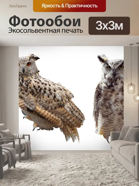 Фотообои Сова