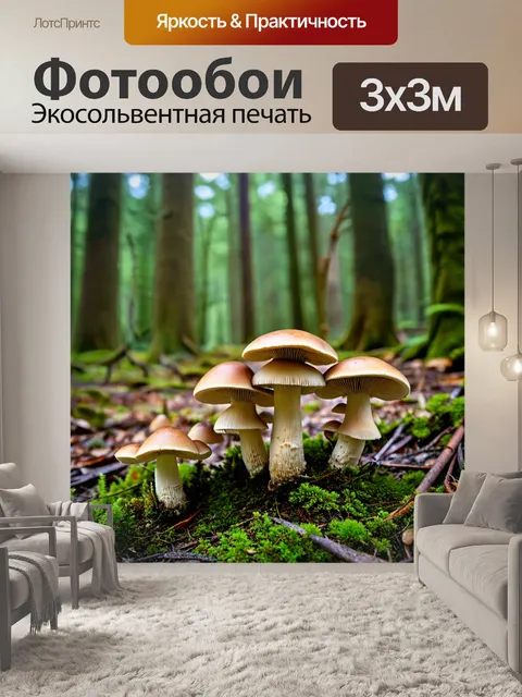 Фотообои грибы грибное место на лесной поляне