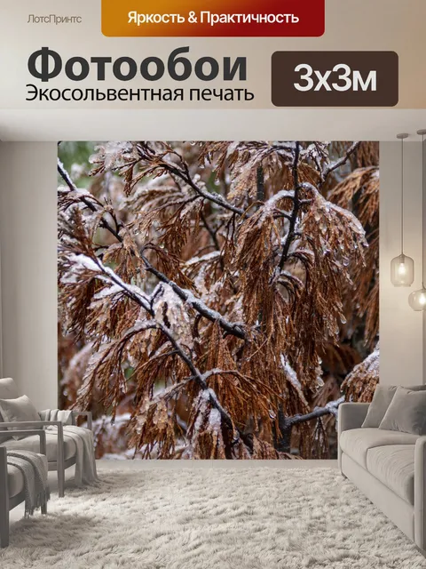 Фотообои Белый снег на коричневых сосновых ветках