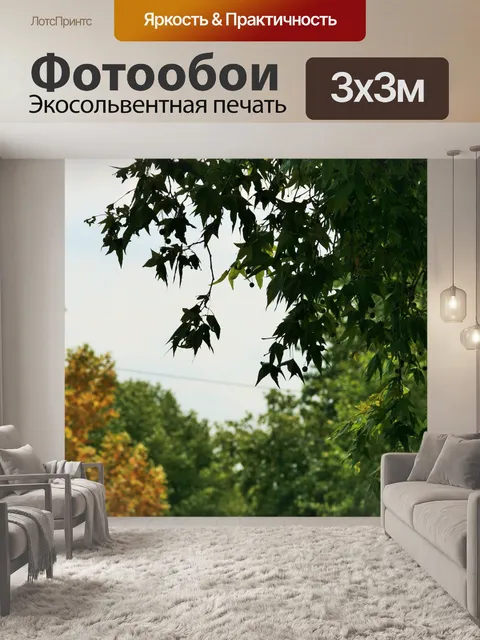 Фотообои желтый клен, рано желтеет