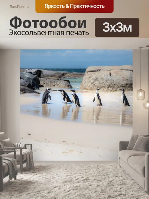 Фотообои Африканские пингвины