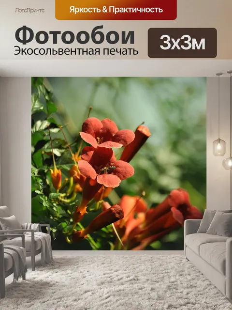 Фотообои Цветы