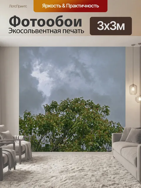 Фотообои Японский изюм дерево в плодах
