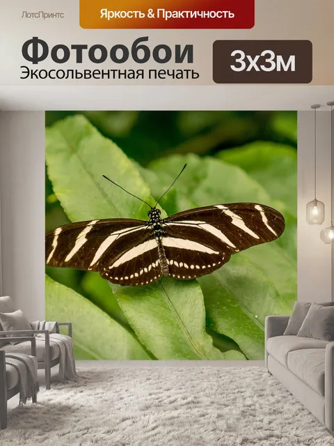 Фотообои Сад бабочек бенальмадена