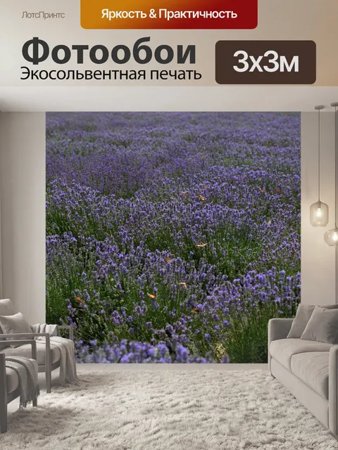 Фотообои Лаванда