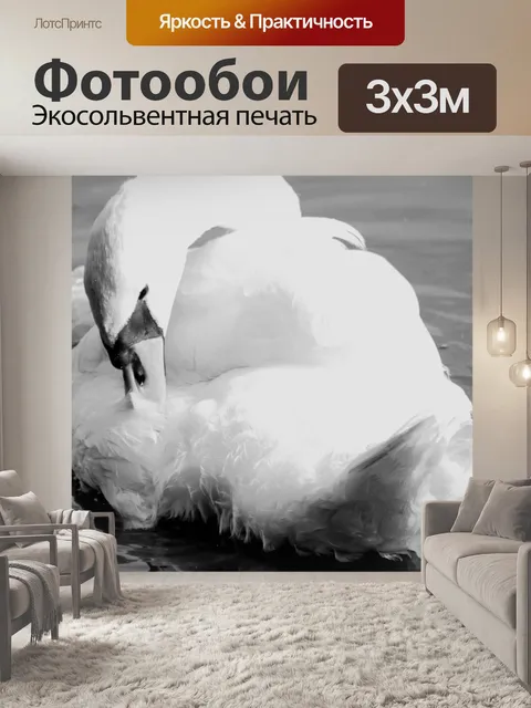 Фотообои Лебедь