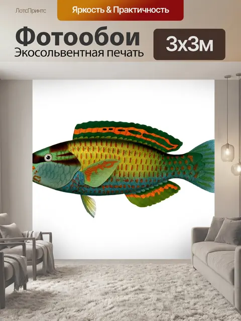 Фотообои Рыба Parrotfish Vintage Art