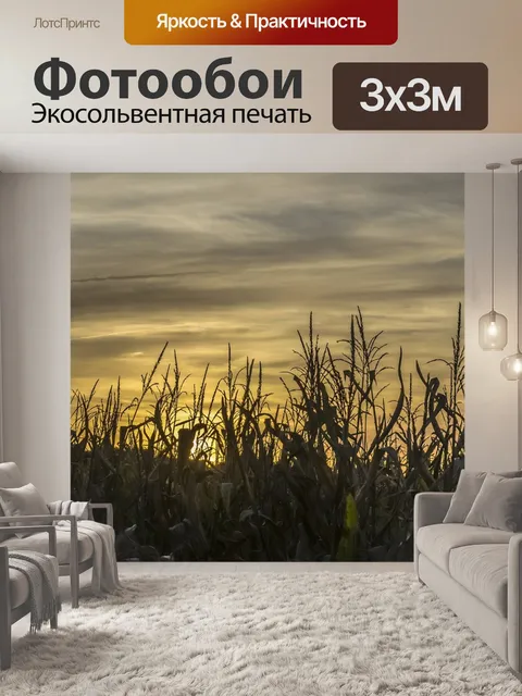 Фотообои Пейзаж