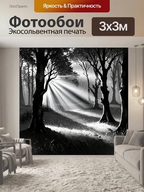 Фотообои черно-белый с изображением спокойного просвета в лесу