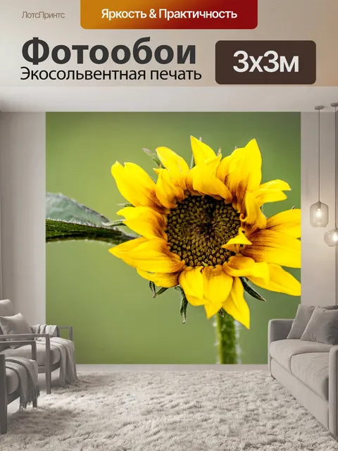 Фотообои Подсолнечник